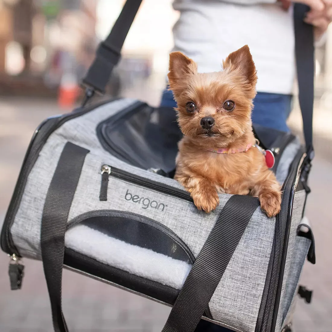 Bergan Booster Pet Carrier