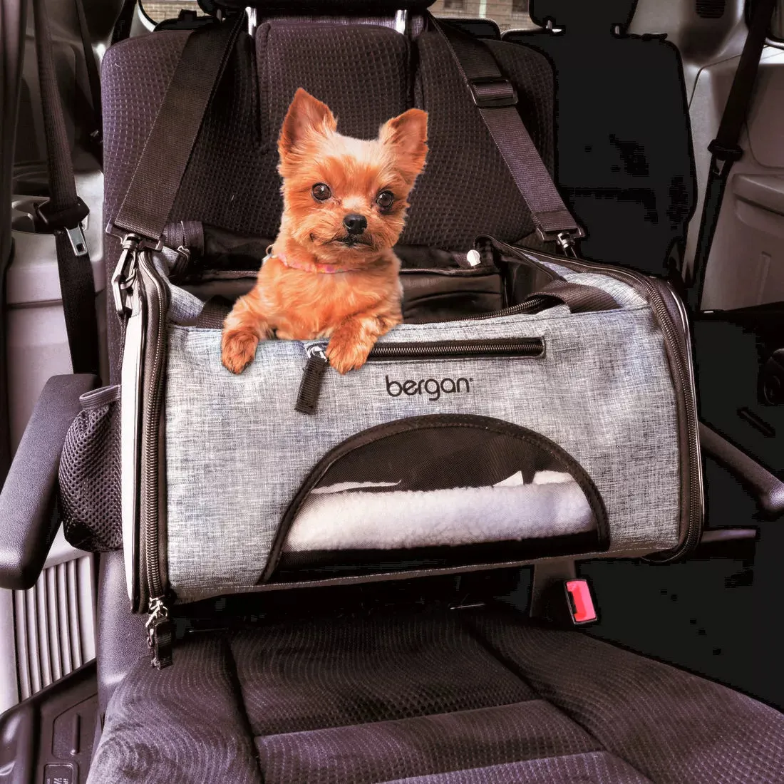 Bergan Booster Pet Carrier