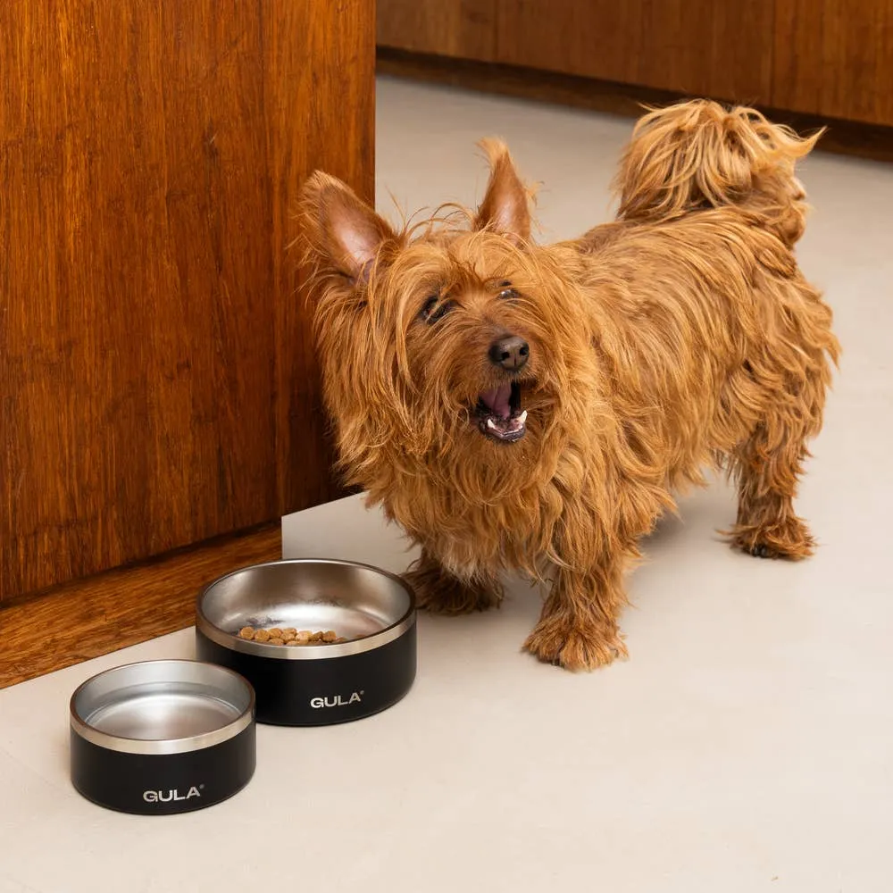 GULA | Double walled and insulated - Black Dog Bowl