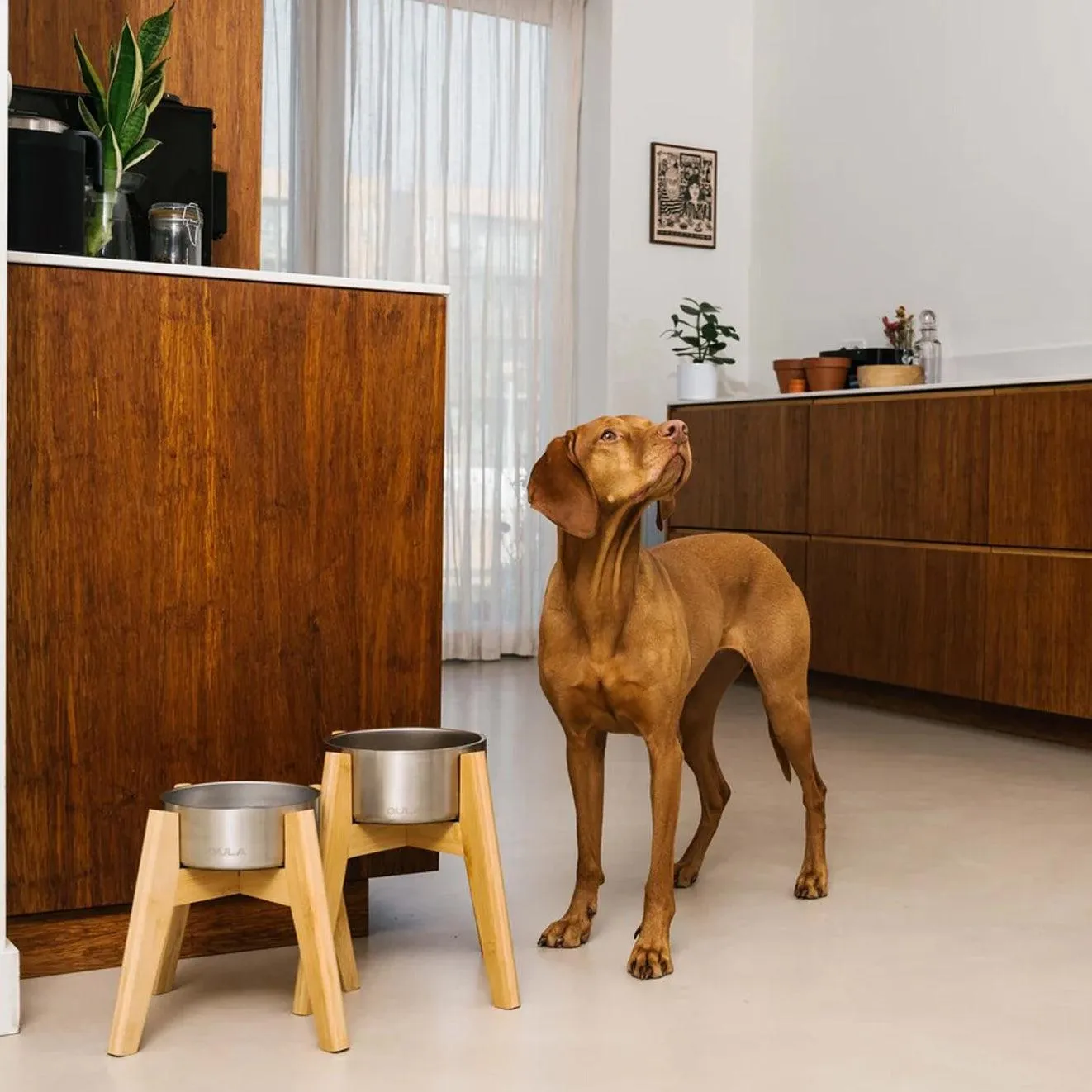 GULA | Double walled and insulated - Silver Dog Bowl