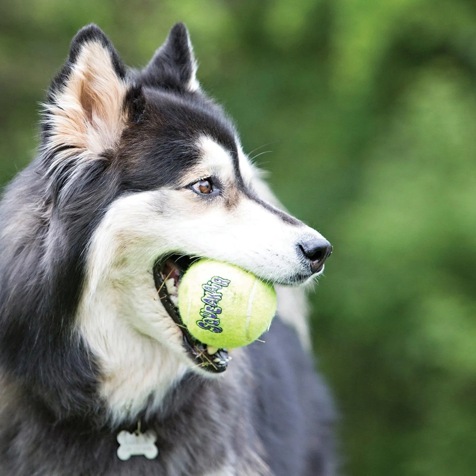Kong SqueakAir Tennis Balls - Medium - 3 Pack