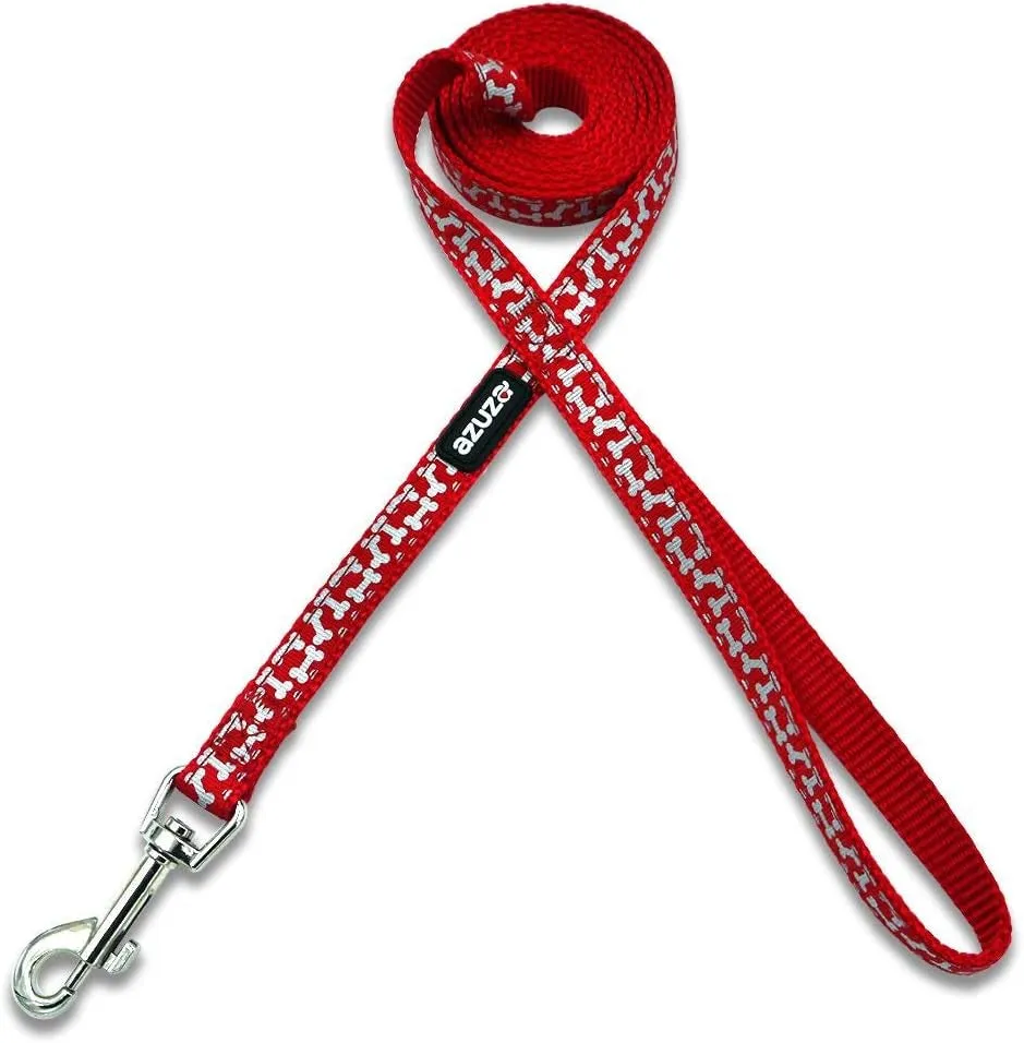 New Year Dog Collar and Leash Set - Meet Festive Friends! 🐾🎉