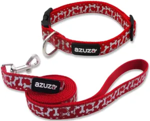 New Year Dog Collar and Leash Set - Meet Festive Friends! 🐾🎉
