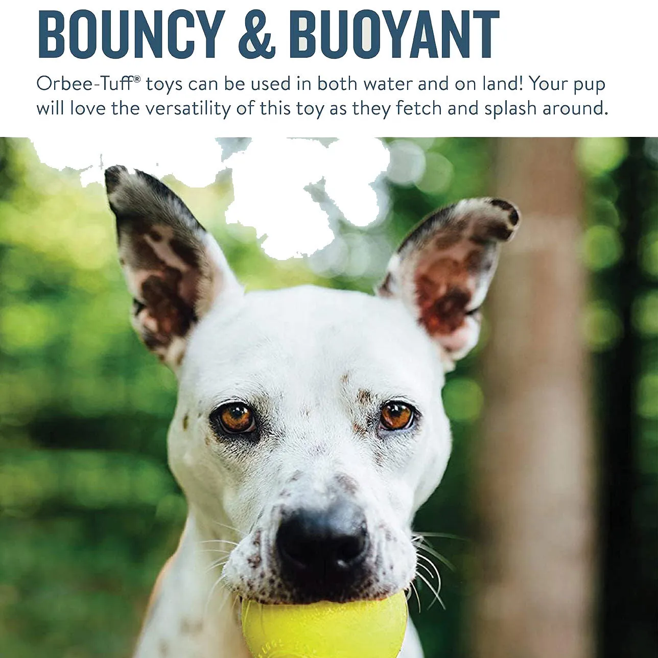 Outward Hound Orbee Squeak