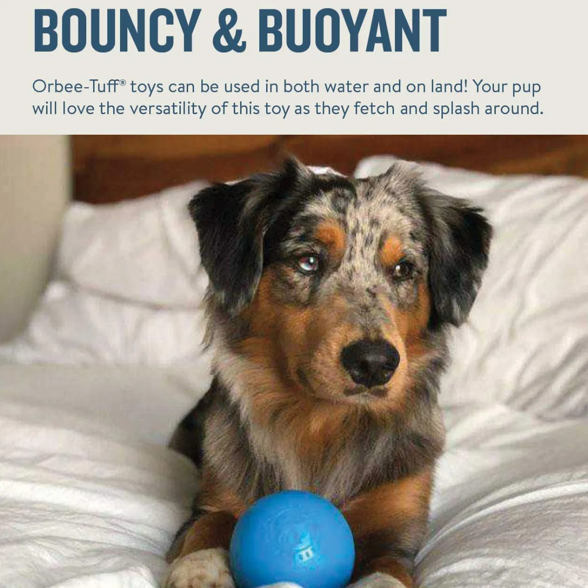 Outward Hound Orbee Squeak
