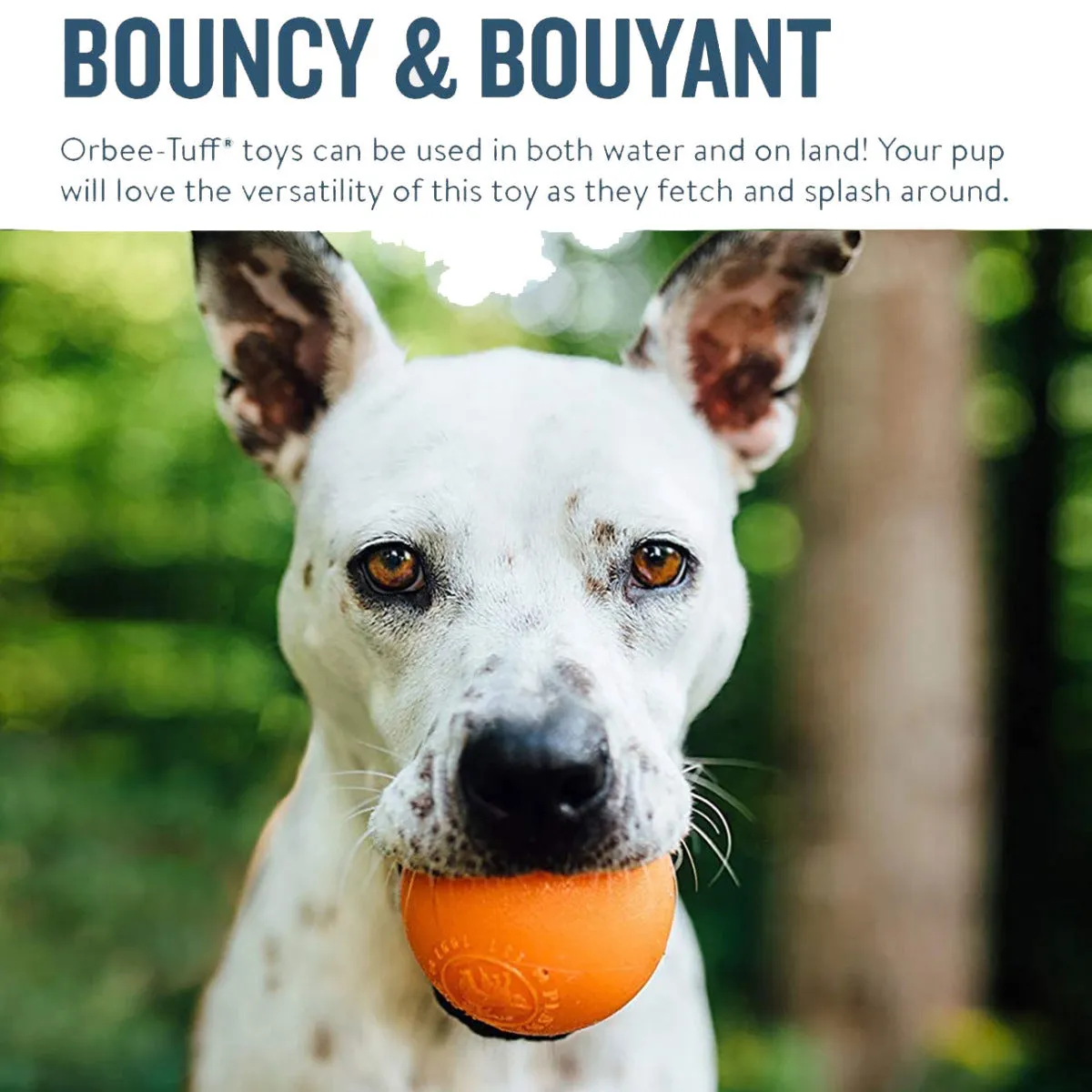 Outward Hound Orbee Squeak
