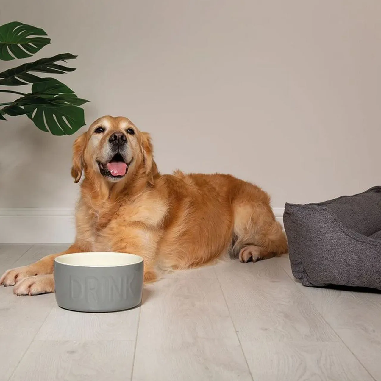 Scruffs | Classic Dog Water Drinking Bowl - 2200ml