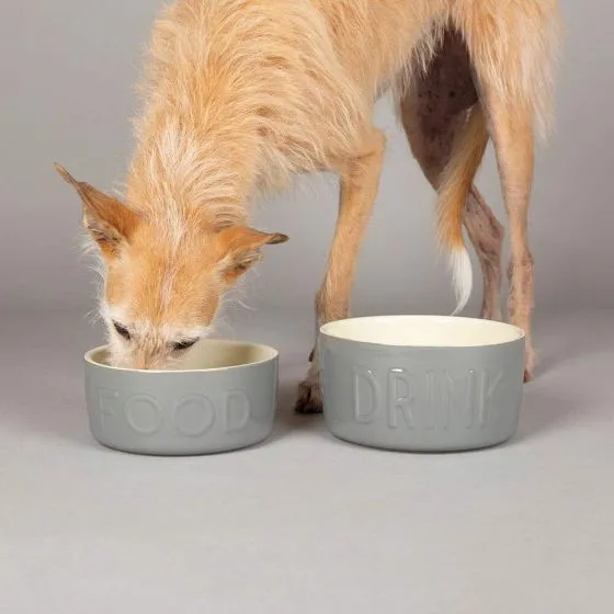 Scruffs | Classic Dog Water Drinking Bowl - 2200ml