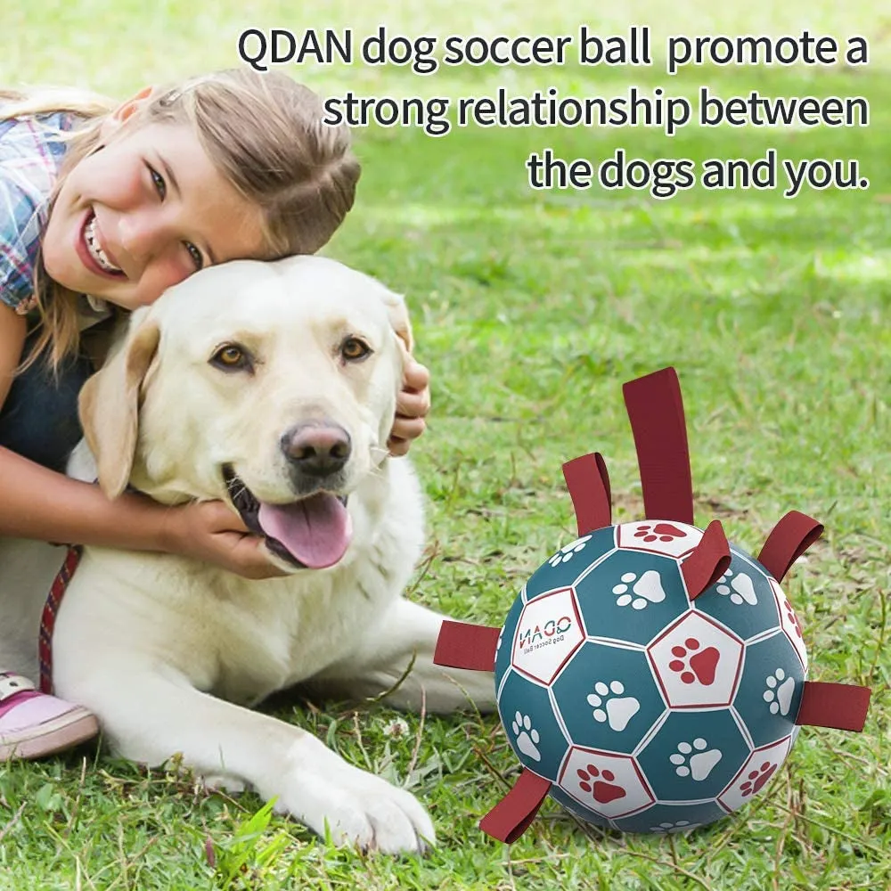 Soccer Ball Straps Dog Toys