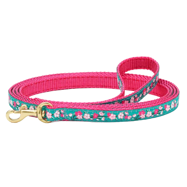 Teacup Leash | Cherry Blossom