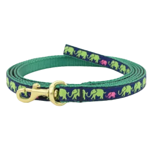 Teacup Leash | Leader Of The Pach