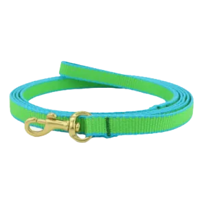 Teacup Leash | Lime & Aqua