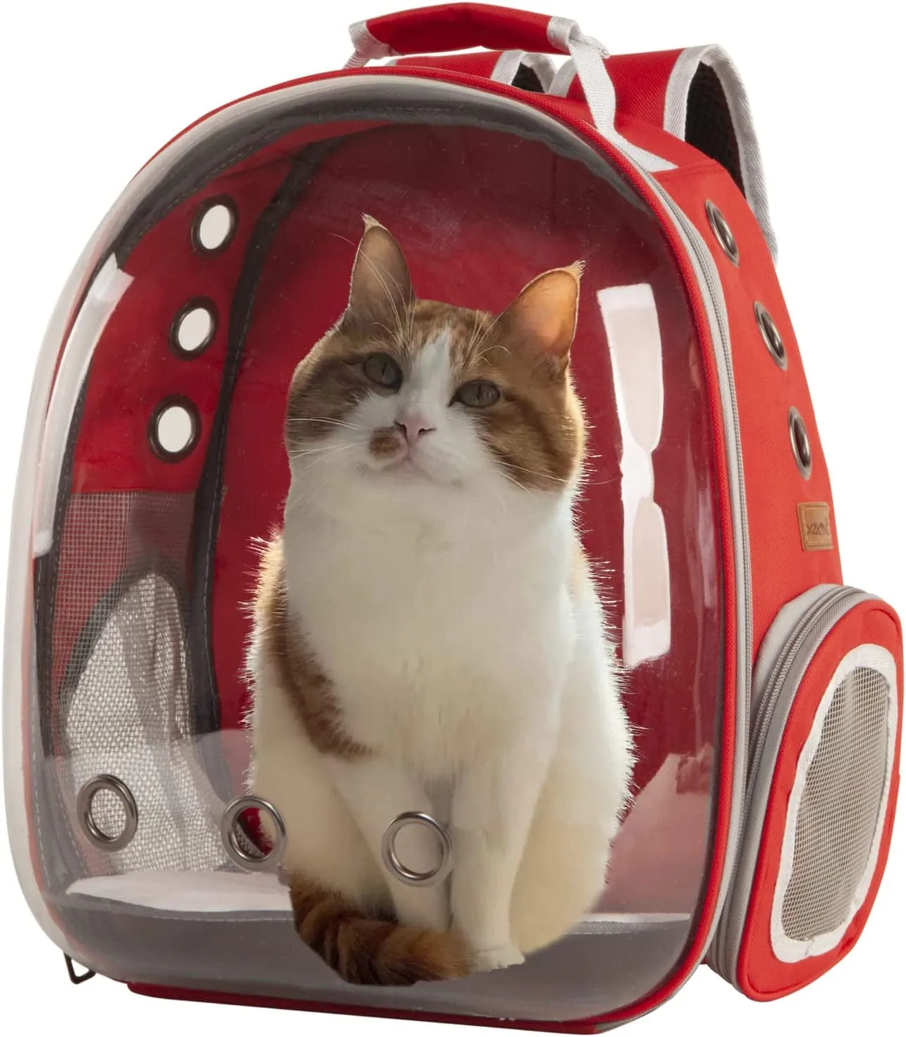 Transparent Space Capsule Pet Carrier