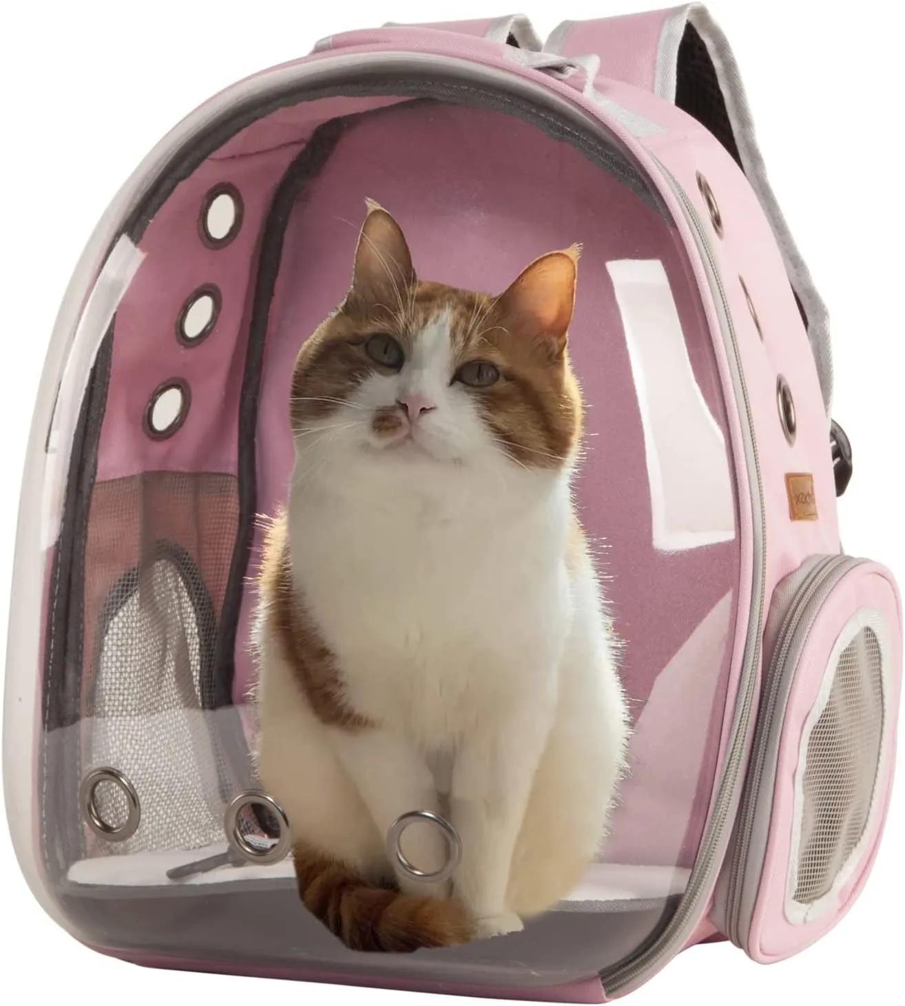 Transparent Space Capsule Pet Carrier